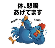 855501335
