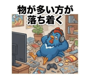 855501339