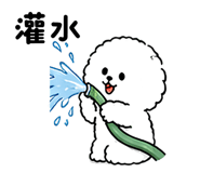 855501575