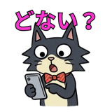 855501626