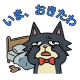 855501636