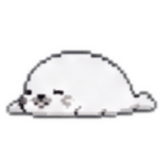 855501791