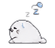 855501794