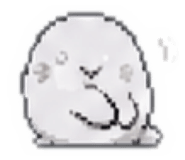 855501806