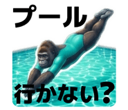 855501813