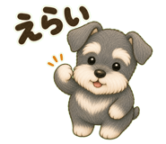 855502551