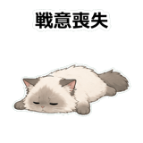 855503011