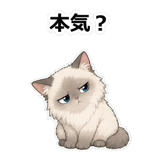855503017
