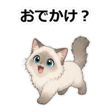 855503021