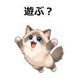 855503041