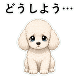 855503087