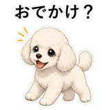 855503093