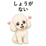 855503117