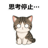 855503162