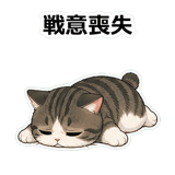 855503163