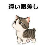 855503164