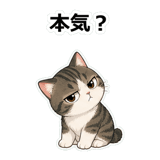 855503169