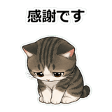 855503171