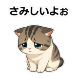855503181