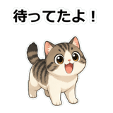 855503184