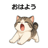 855503188