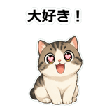 855503198