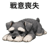 855503275