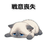 855503315