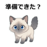855503324
