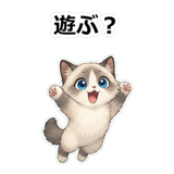 855503345