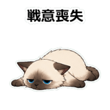 855503627