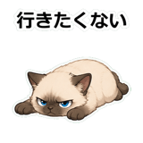 855503650