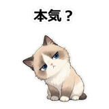 855503673