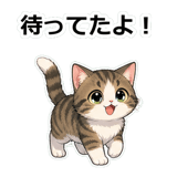 855503688
