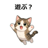 855503697