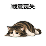855503755