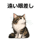 855503756