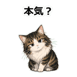 855503761
