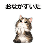 855503775