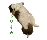 855503810