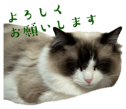 855503814