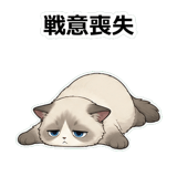 855503819