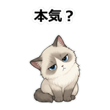 855503825