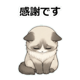 855503827
