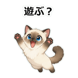 855503849