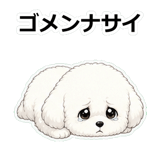 855503894