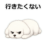 855503906
