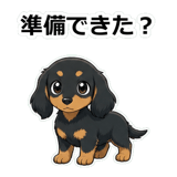 855503972