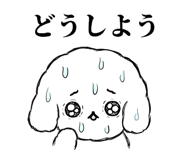 855505303