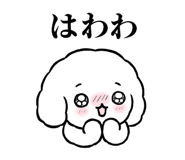 855505316